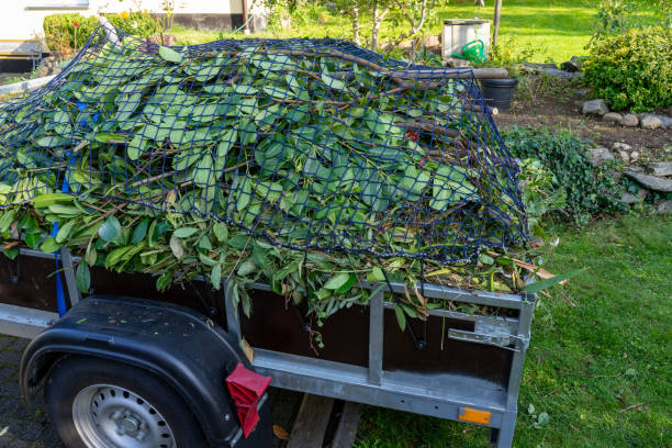 Best Carpet Removal and Disposal  in Tunkhannock, PA